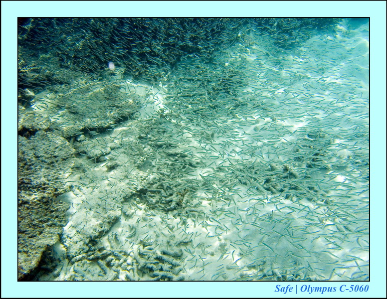 2008 - 07 - Redang - 011